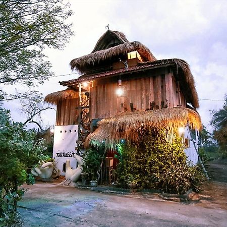 The Rabbit Tree Hostel Gili Meno Esterno foto