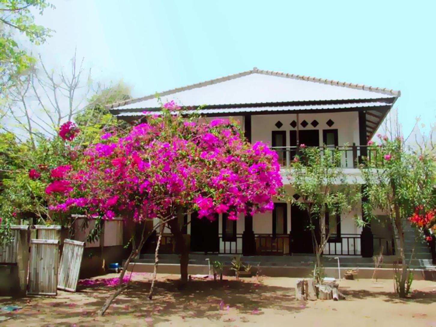 The Rabbit Tree Hostel Gili Meno Esterno foto