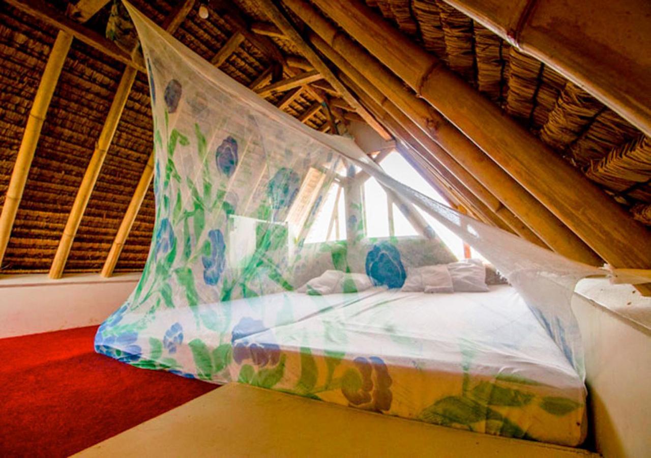 The Rabbit Tree Hostel Gili Meno Esterno foto