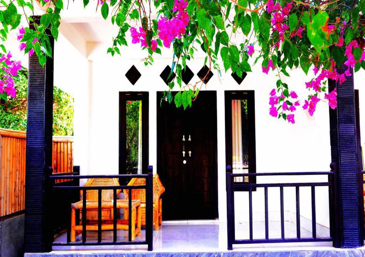 The Rabbit Tree Hostel Gili Meno Esterno foto