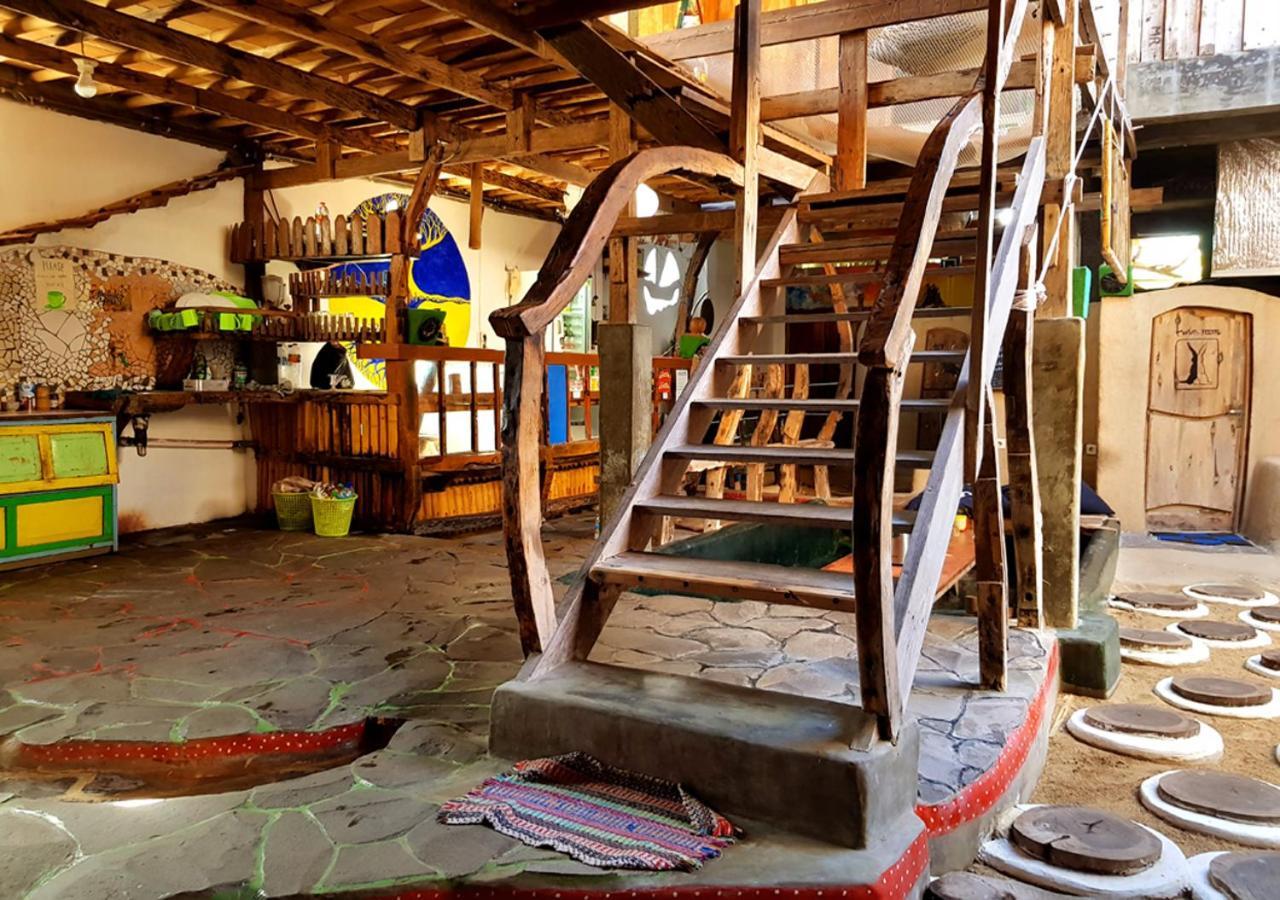 The Rabbit Tree Hostel Gili Meno Esterno foto